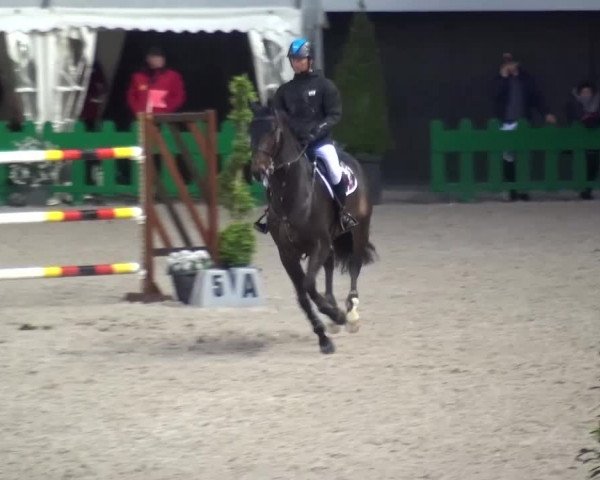 FEI Reitturnier Aachen (GER) 2016