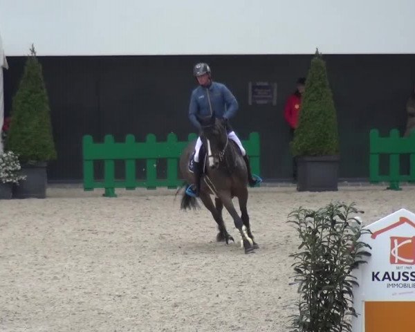 FEI Reitturnier Aachen (GER) 2016