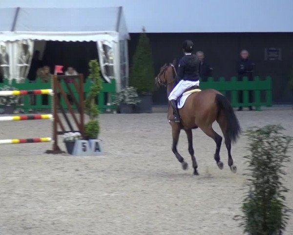 FEI Reitturnier Aachen (GER) 2016