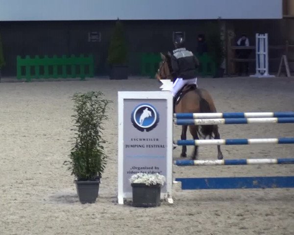 FEI Reitturnier Aachen (GER) 2016