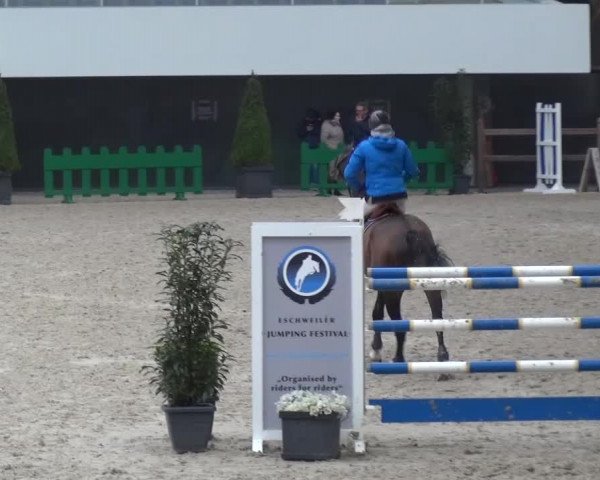 FEI Reitturnier Aachen (GER) 2016