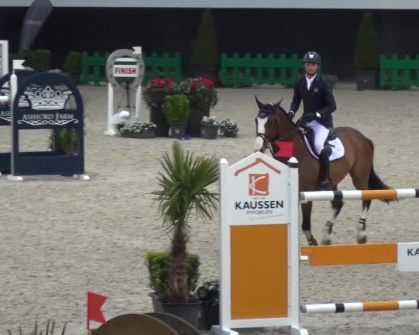 FEI Reitturnier Aachen (GER) 2016