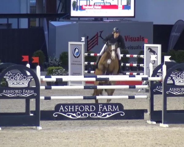 FEI Reitturnier Aachen (GER) 2016