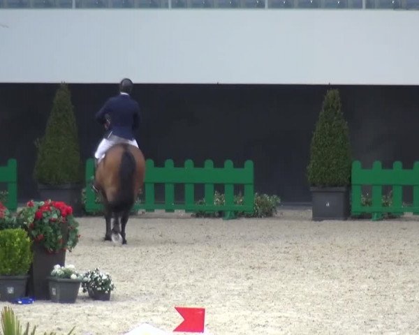 FEI Reitturnier Aachen (GER) 2016