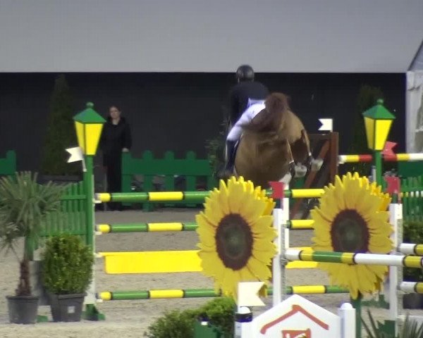 FEI Reitturnier Aachen (GER) 2016