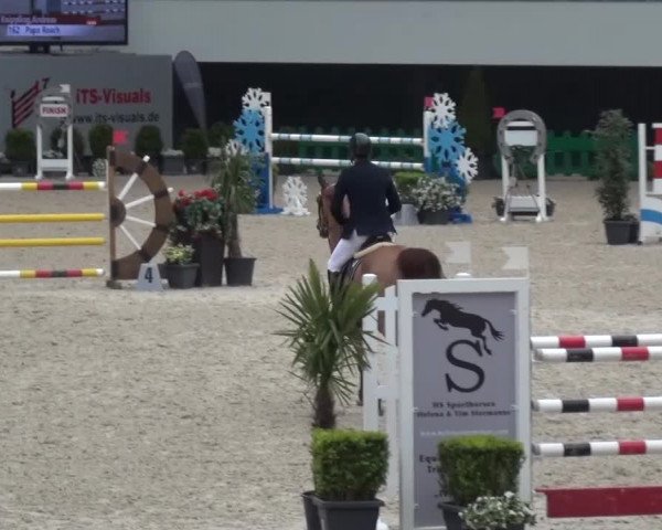FEI Reitturnier Aachen (GER) 2016