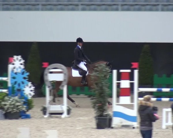 FEI Reitturnier Aachen (GER) 2016