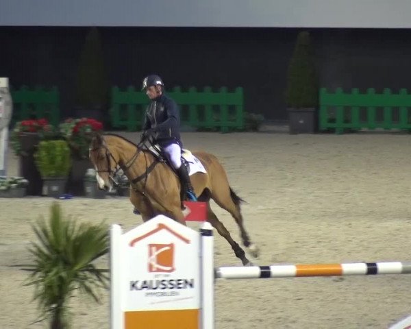 FEI Reitturnier Aachen (GER) 2016