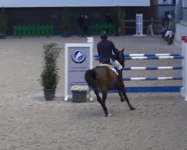 FEI Reitturnier Aachen (GER) 2016
