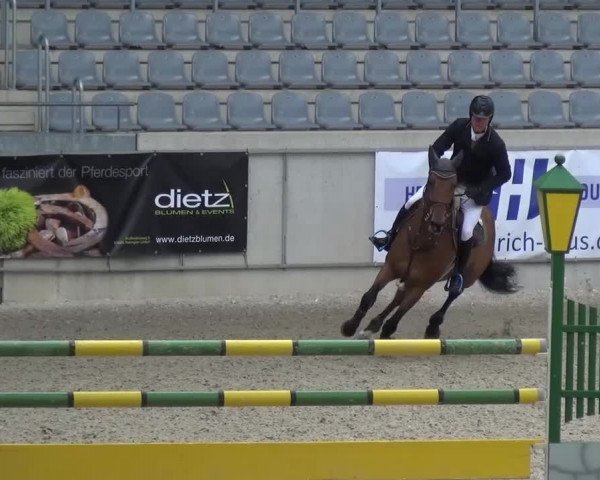 FEI Reitturnier Aachen (GER) 2016