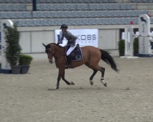 FEI Reitturnier Aachen (GER) 2016