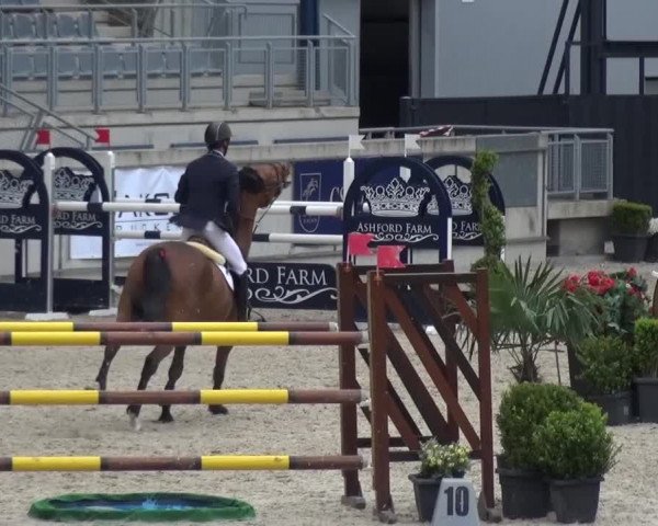 FEI Reitturnier Aachen (GER) 2016