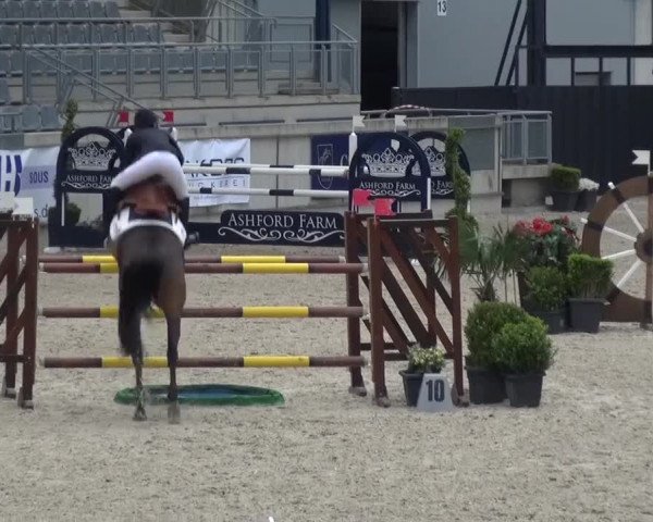 FEI Reitturnier Aachen (GER) 2016