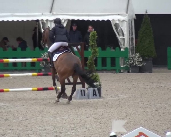 FEI Reitturnier Aachen (GER) 2016