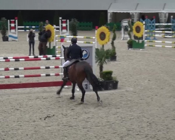 FEI Reitturnier Aachen (GER) 2016