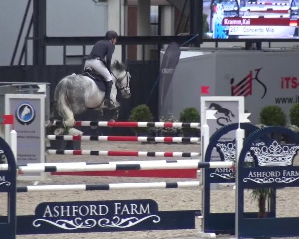 FEI Reitturnier Aachen (GER) 2016