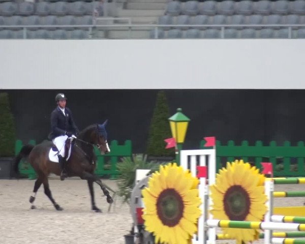 FEI Reitturnier Aachen (GER) 2016