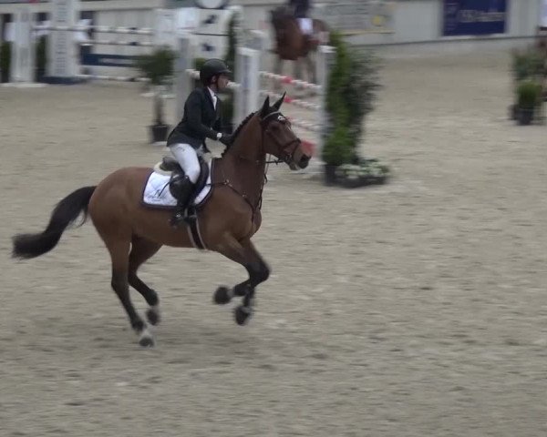 FEI Reitturnier Aachen (GER) 2016