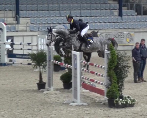 FEI Reitturnier Aachen (GER) 2016