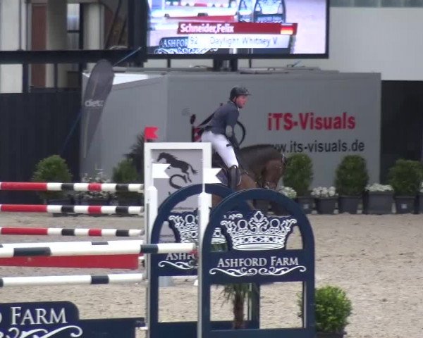 FEI Reitturnier Aachen (GER) 2016