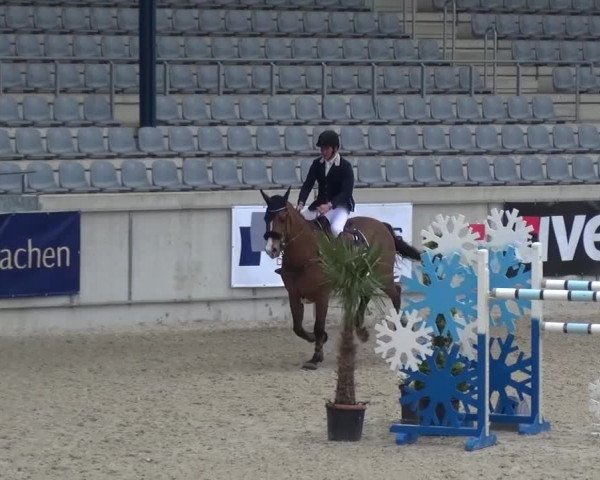 FEI Reitturnier Aachen (GER) 2016