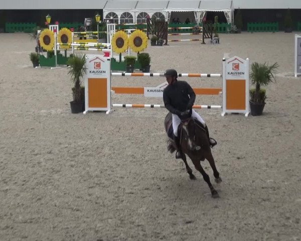 FEI Reitturnier Aachen (GER) 2016
