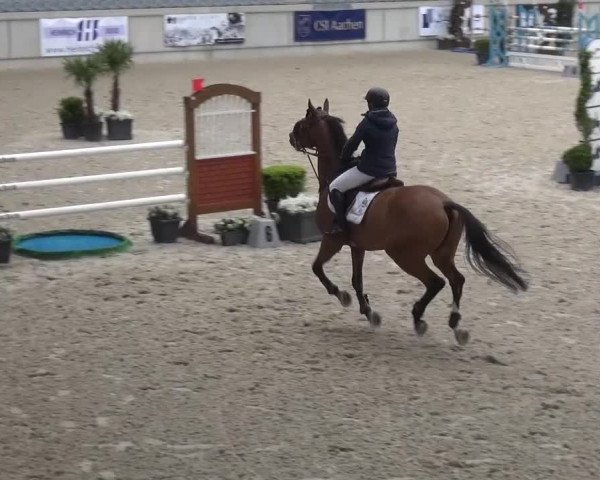 FEI Reitturnier Aachen (GER) 2016
