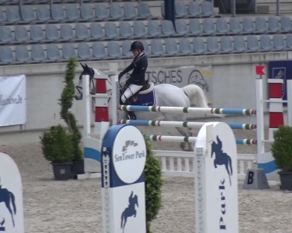FEI Reitturnier Aachen (GER) 2016