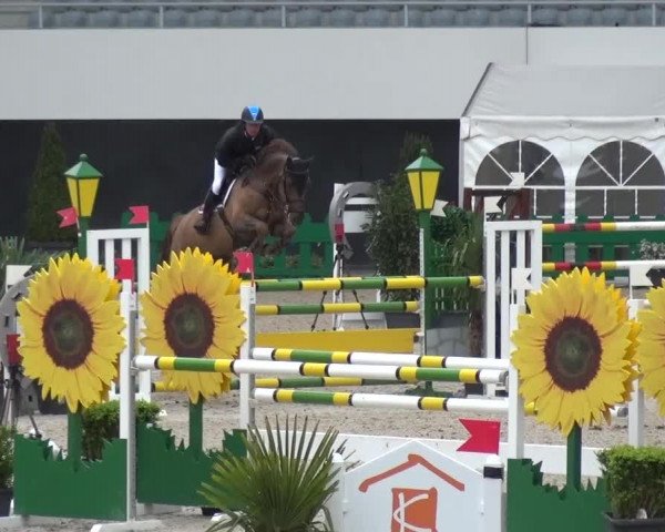 FEI Reitturnier Aachen (GER) 2016