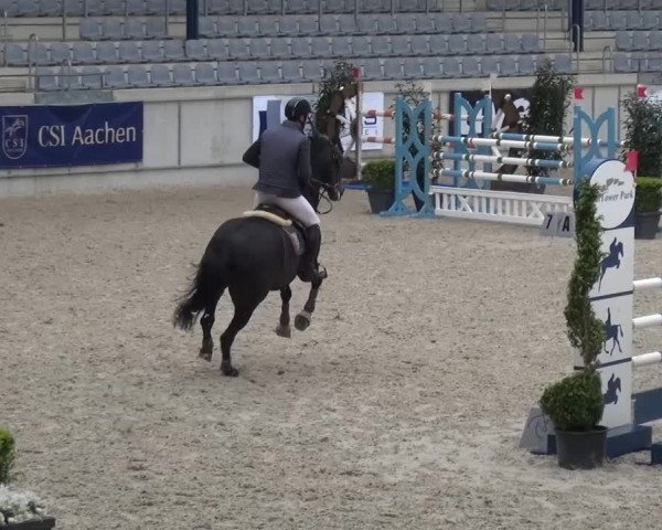 FEI Reitturnier Aachen (GER) 2016