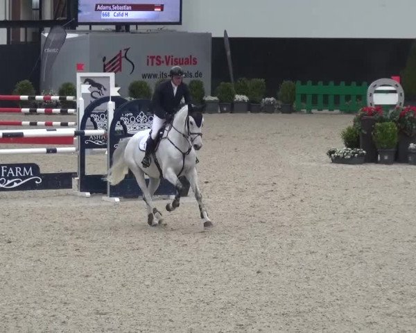 FEI Reitturnier Aachen (GER) 2016
