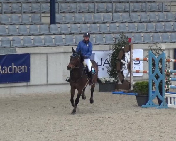 FEI Reitturnier Aachen (GER) 2016