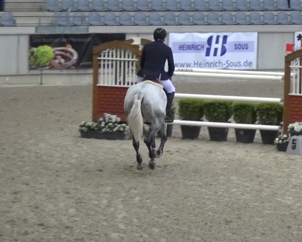 FEI Reitturnier Aachen (GER) 2016
