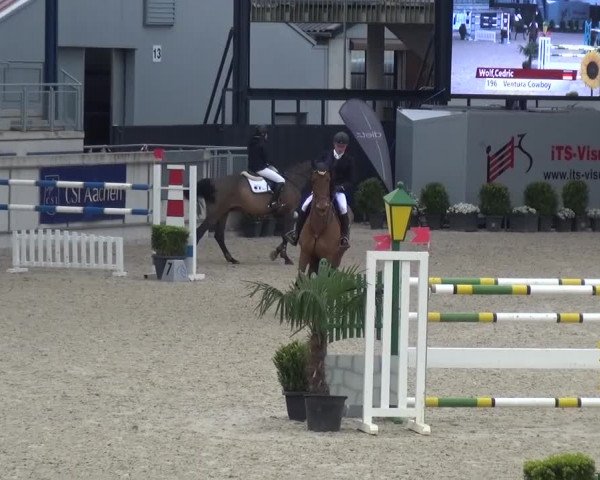 FEI Reitturnier Aachen (GER) 2016