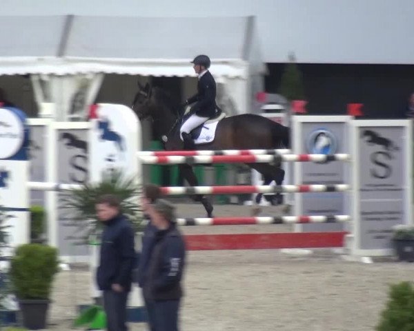 FEI Reitturnier Aachen (GER) 2016