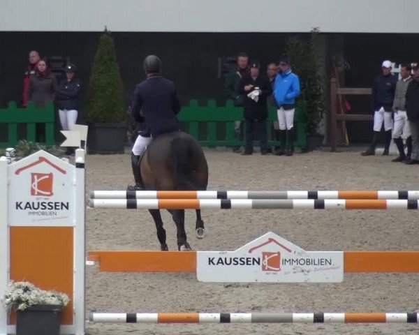 FEI Reitturnier Aachen (GER) 2016