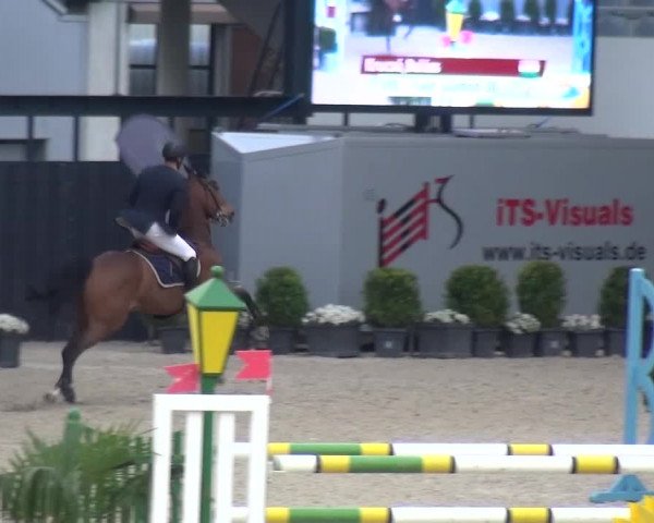 FEI Reitturnier Aachen (GER) 2016