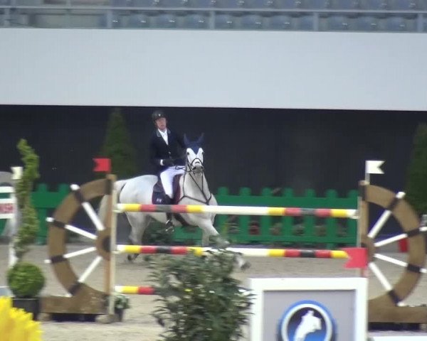 FEI Reitturnier Aachen (GER) 2016