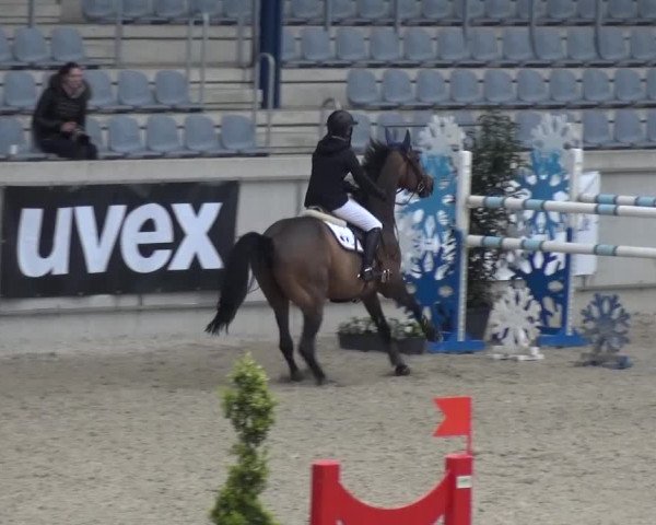 FEI Reitturnier Aachen (GER) 2016