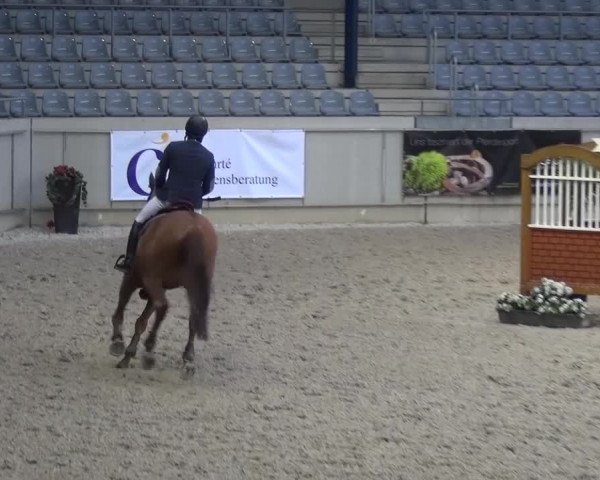 FEI Reitturnier Aachen (GER) 2016
