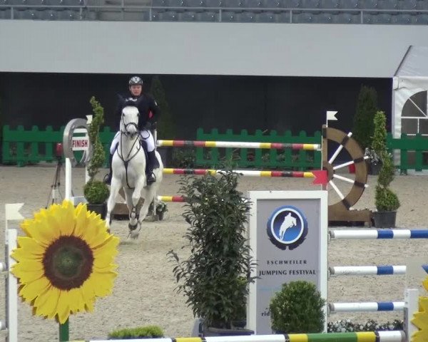 FEI Reitturnier Aachen (GER) 2016