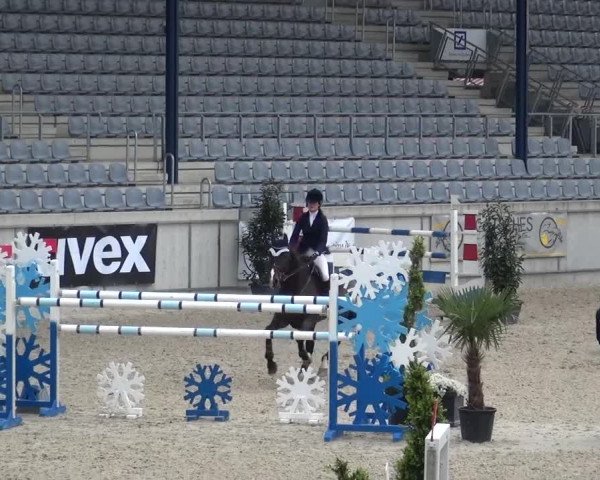 FEI Reitturnier Aachen (GER) 2016