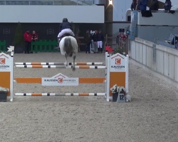 FEI Reitturnier Aachen (GER) 2016