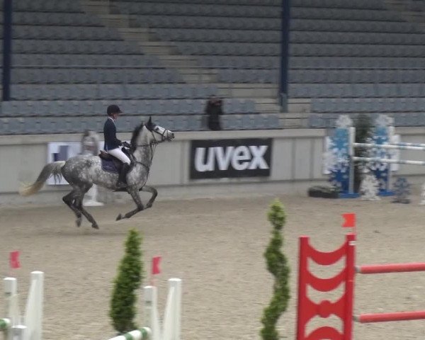 FEI Reitturnier Aachen (GER) 2016