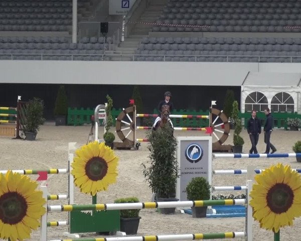 FEI Reitturnier Aachen (GER) 2016
