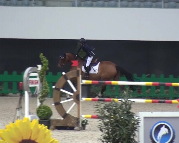 FEI Reitturnier Aachen (GER) 2016