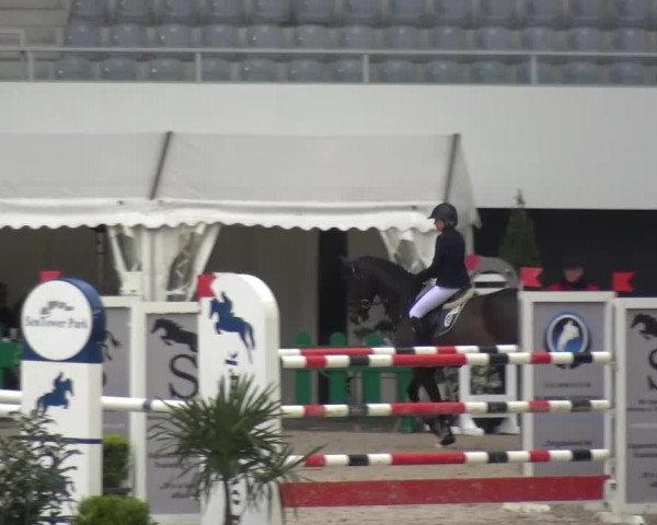 FEI Reitturnier Aachen (GER) 2016