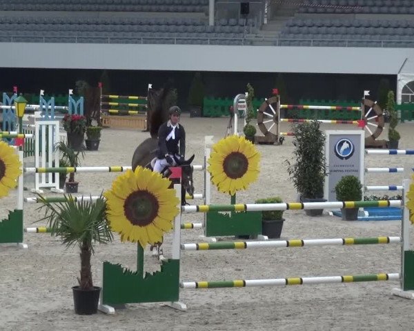 FEI Reitturnier Aachen (GER) 2016