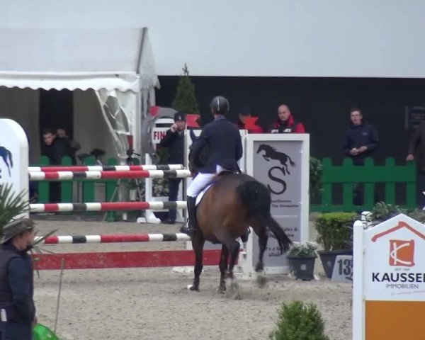 FEI Reitturnier Aachen (GER) 2016