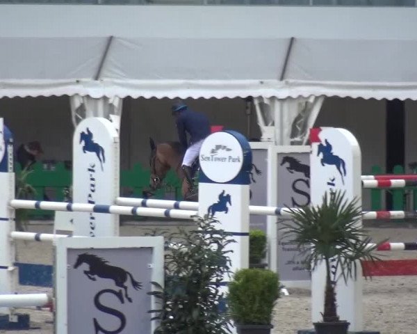 FEI Reitturnier Aachen (GER) 2016